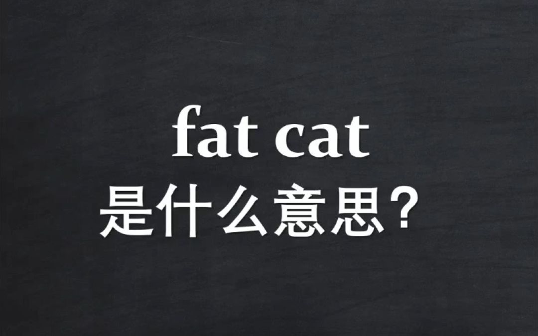 Fat cat是什么意思?哔哩哔哩bilibili