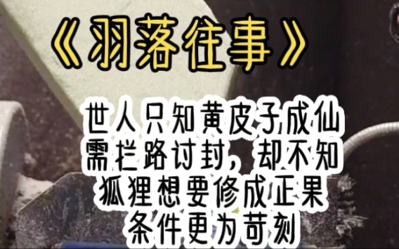 《羽落往事》世人只知黃皮子成仙需攔路討封,卻不知狐狸想要修成正果