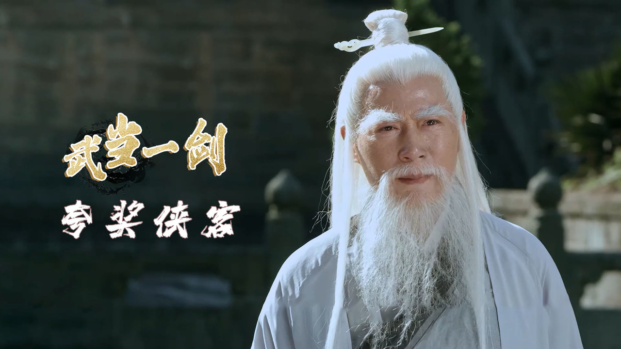 武当一剑白衣侠客与道士切磋武艺不料却得到了掌门赞扬
