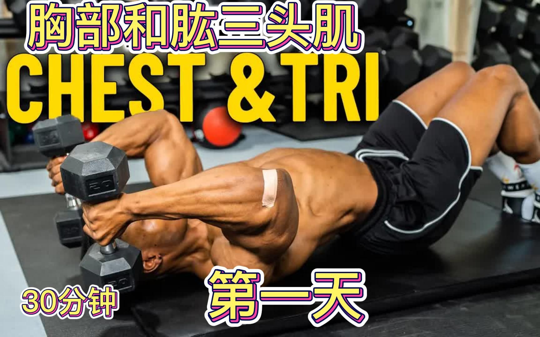 30分钟哑铃练胸和肱三头肌 三分化训练 （第1天））组间休息60秒上大重量 - 哔哩哔哩