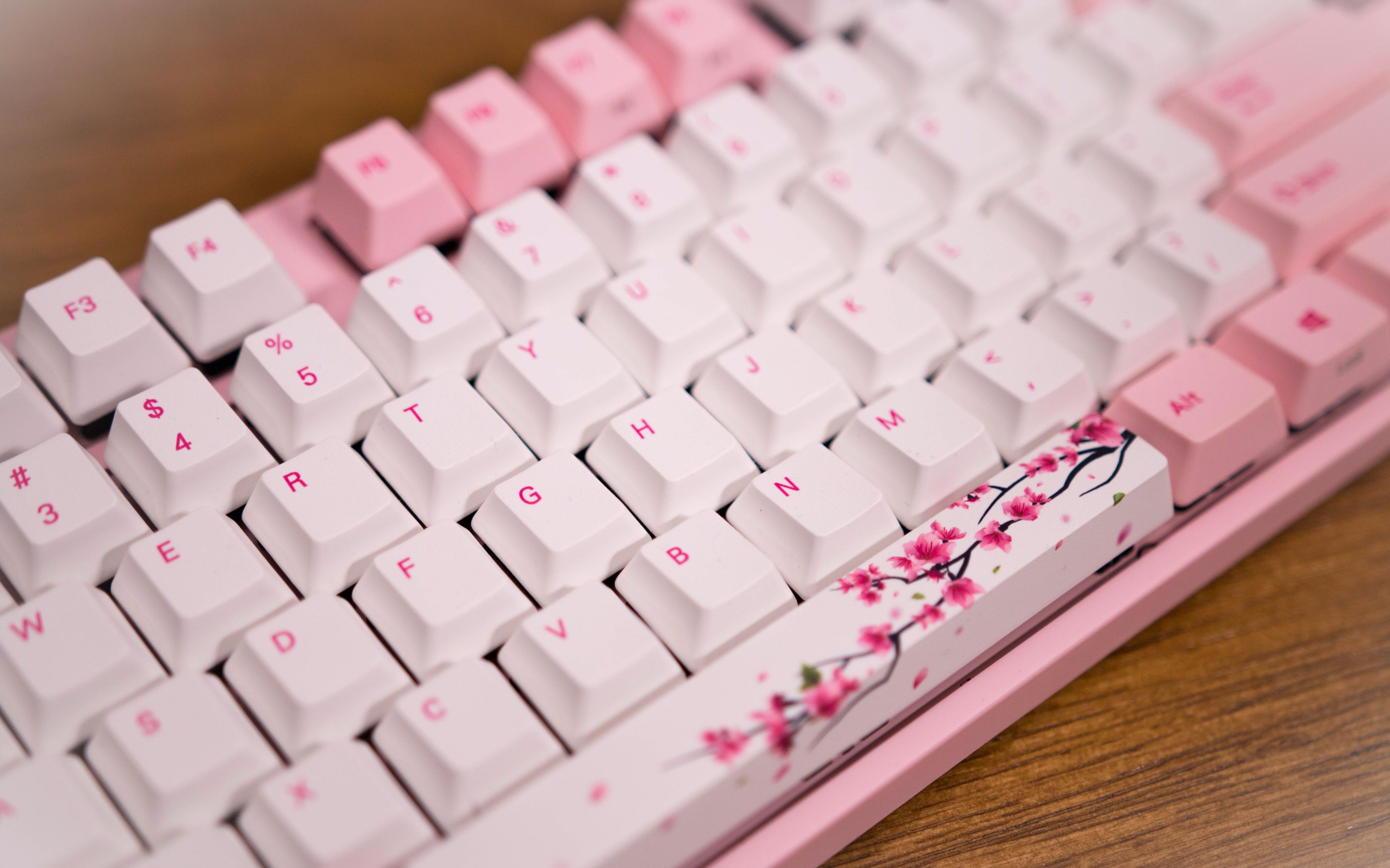 老王没错漂亮的不像实力派阿米洛樱花键盘