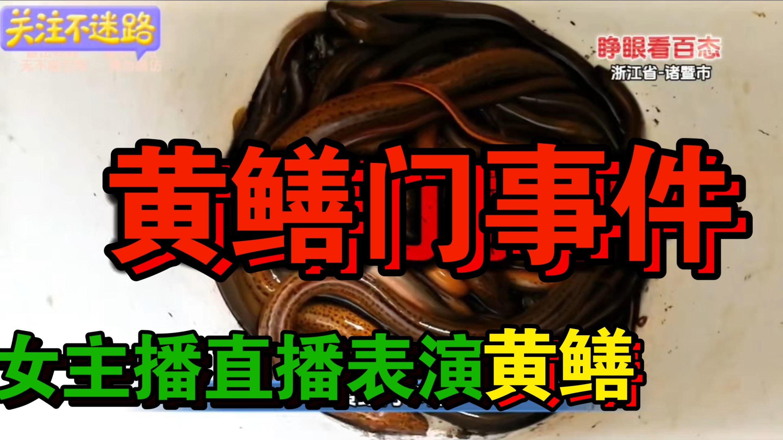 女主播直播表演黄鳝入体，是她自己喜欢？还是有人驱使？，黄鳝门案件 #真实事件