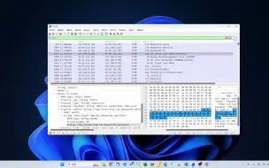 下载视频: Wireshark 抓抖音直播推流码