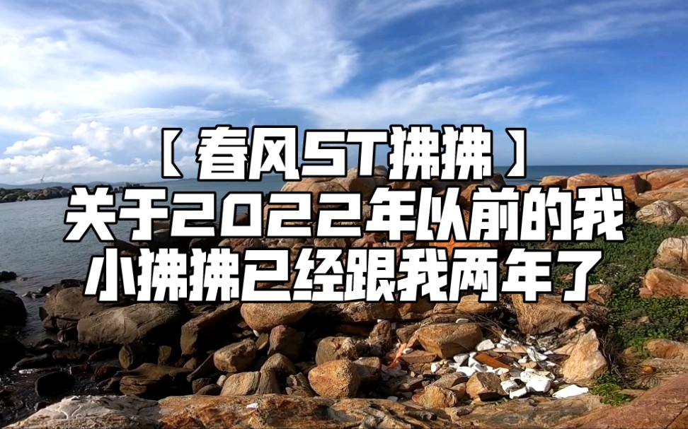 【春风ST狒狒】2022年以前视频混剪 | 不知不觉小狒狒已经跟我两年了 | 怎么感觉自己好像活的一年不如一年似的 哈哈哈…哔哩哔哩bilibili