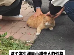 Télécharger la video: 华北理工大学轻工学院 一学生当众恶意虐猫，太可恶了