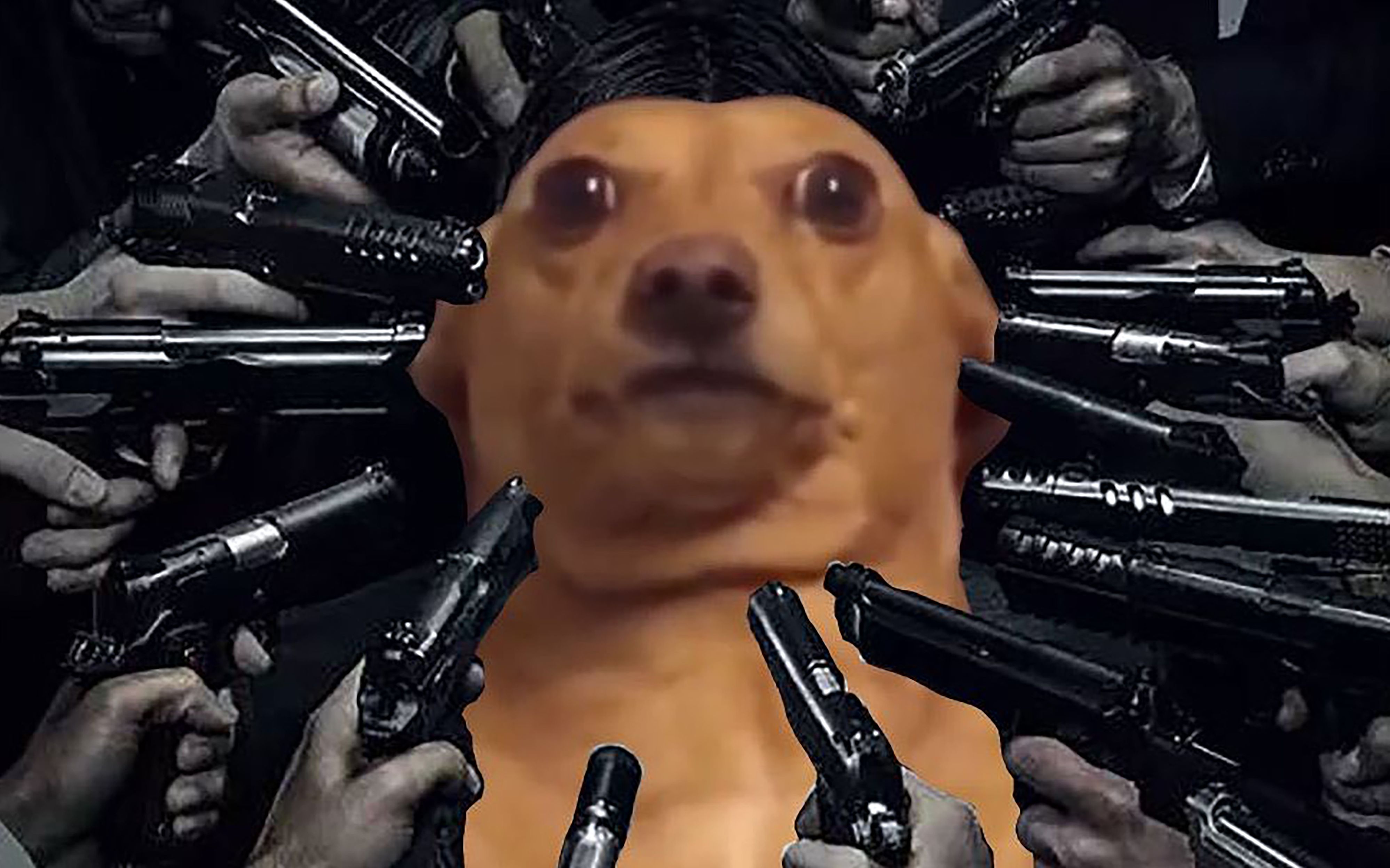 疾速追杀4k60fps全程舒适踩点极致演绎暴力美学的魅力