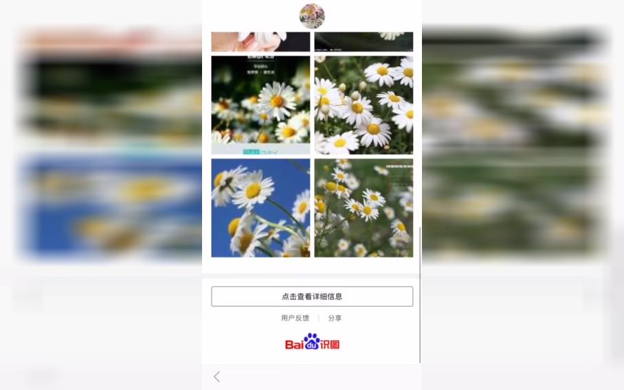 如何使用百度App识图“自动拍”功能?哔哩哔哩bilibili