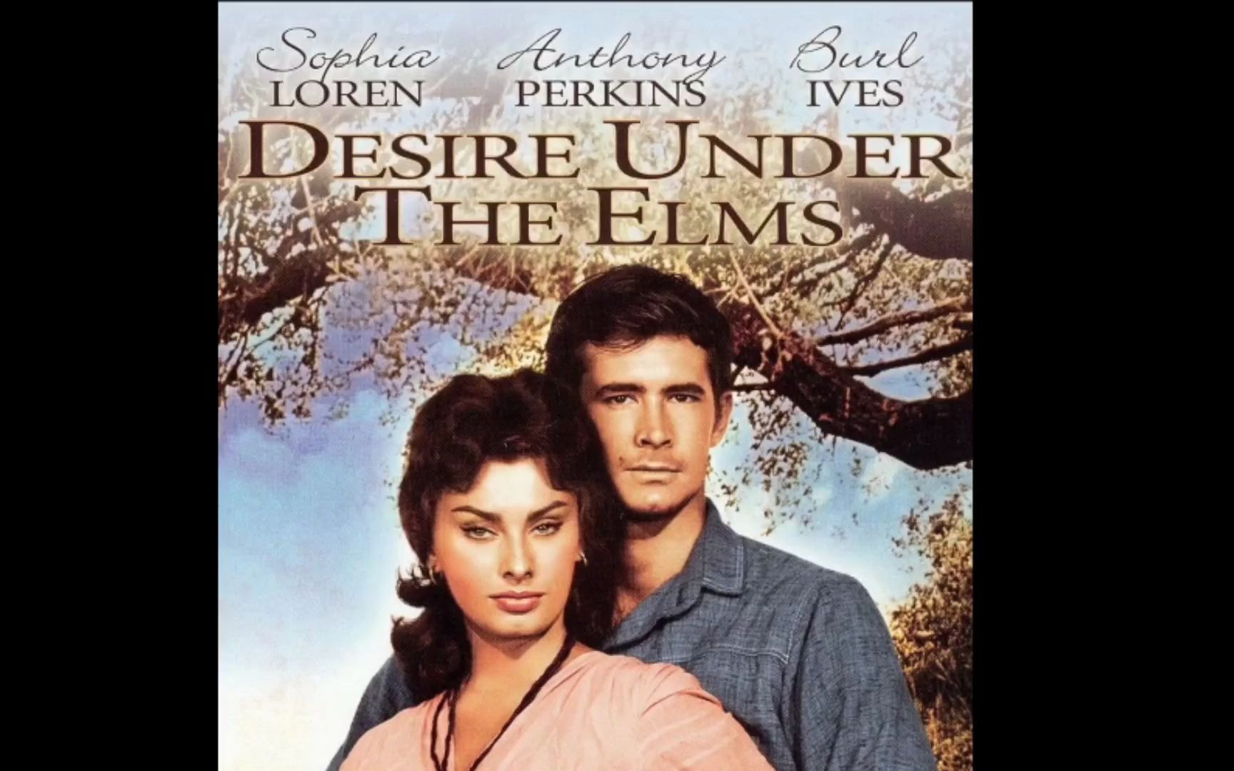 英专生作业desireundertheelms片段男女主决裂