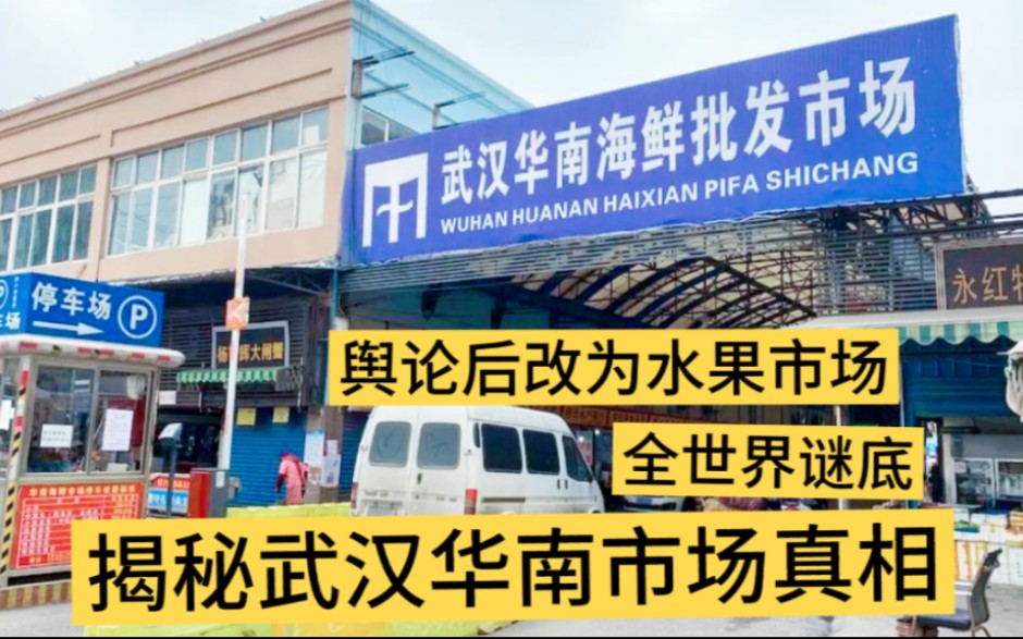 揭秘武汉华南海鲜市场?全民舆论下改为批发市场,华南讨要说法?哔哩哔哩bilibili