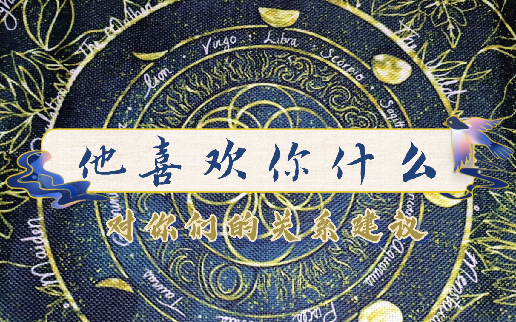 【长月塔罗】你心里想的那个人喜欢你什么|对你们的相处建议