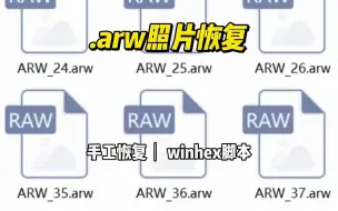 Download Video: winhex脚本恢复索尼arw照片，数据恢复陈楠