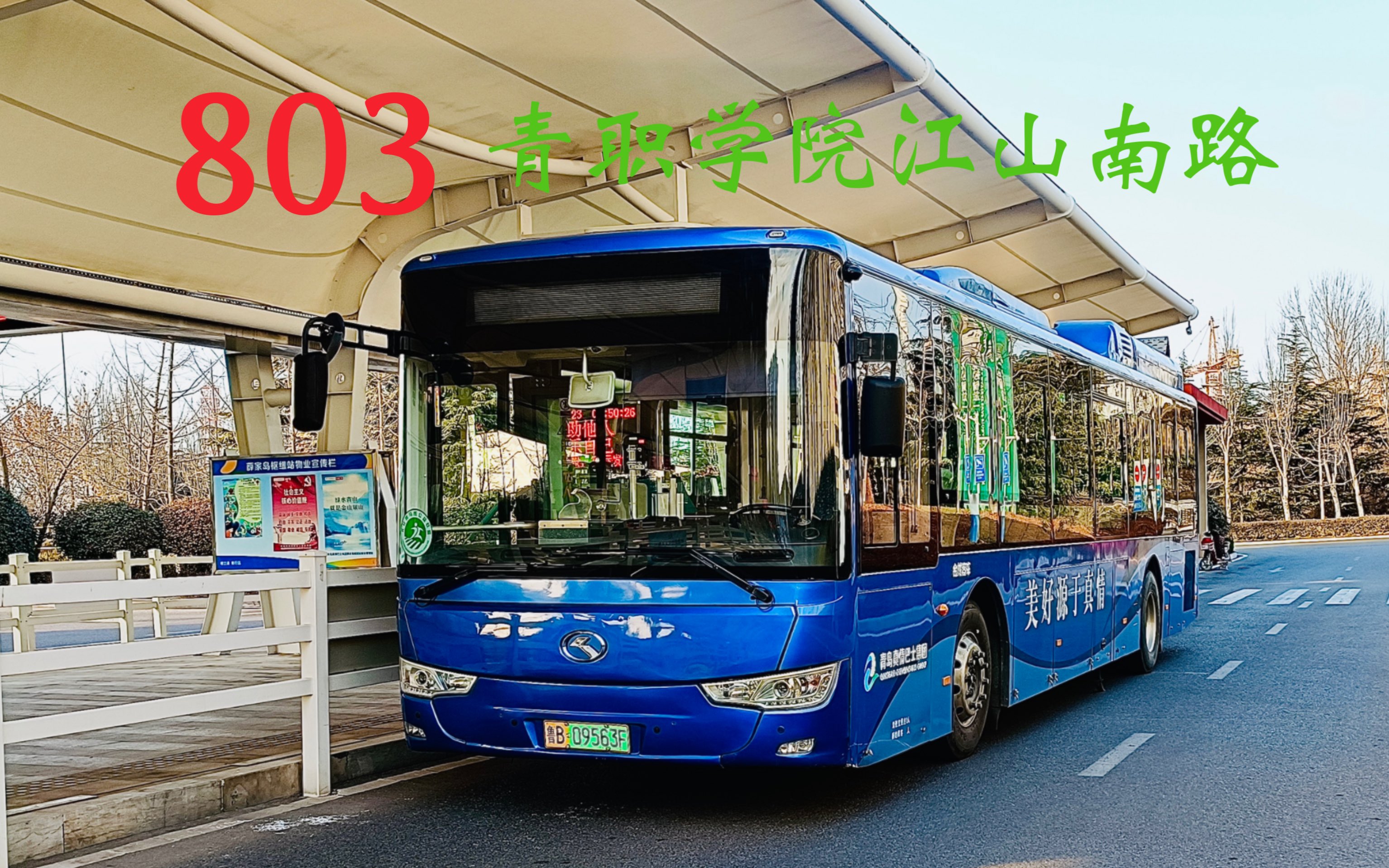 【pov-21】【新区风采】青岛西海岸真情巴士开发区803路(薛家岛枢纽站