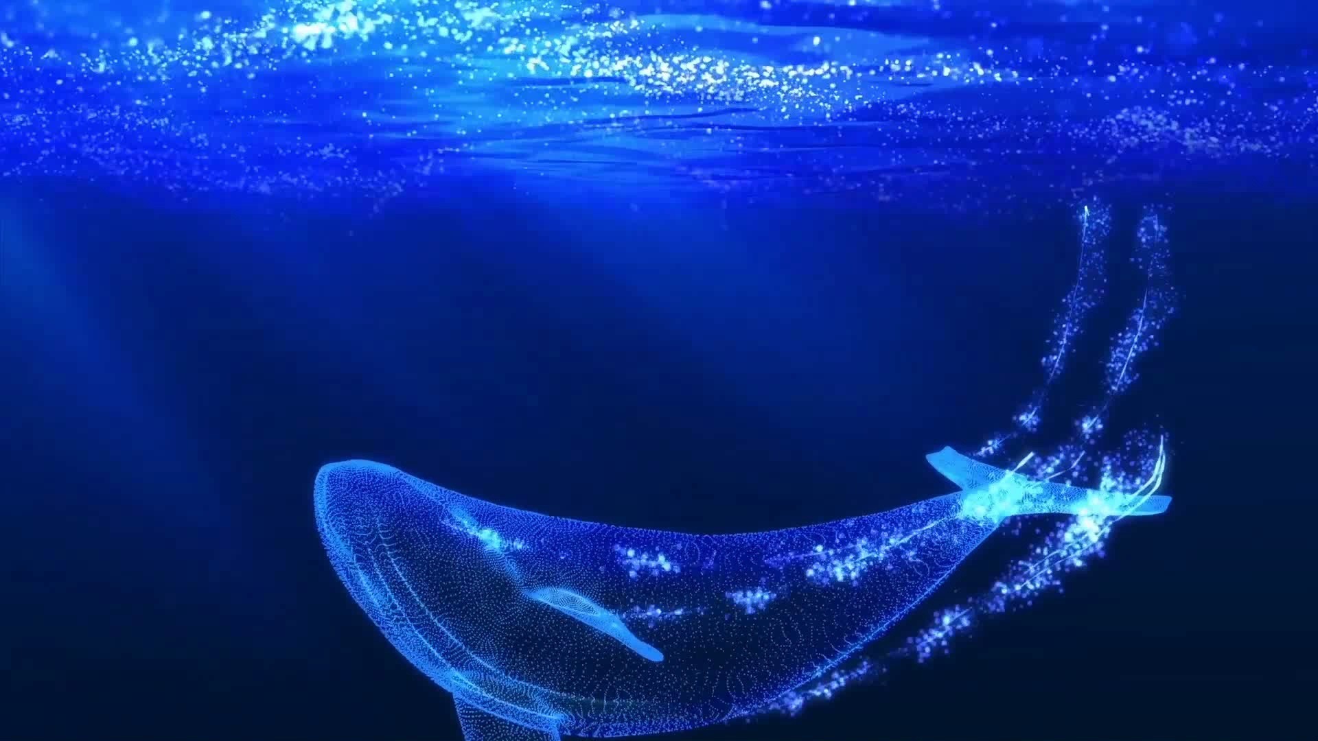 舞蹈《大鱼 》背景视频