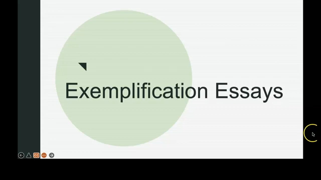 Exemplification Essay Lecture哔哩哔哩bilibili