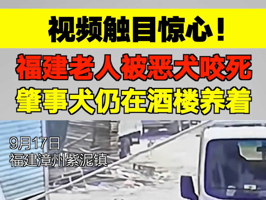 视频触目惊心!恶犬咬死老人