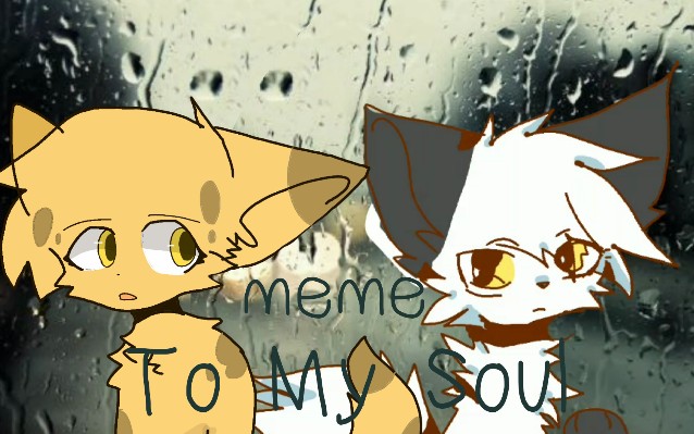 原创合作meme猫武士黑星豹星tomysoul