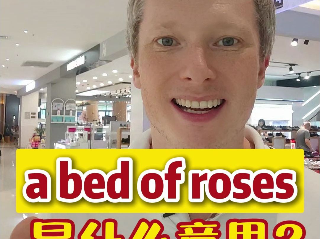 “a bed of roses”是什么意思?哔哩哔哩bilibili