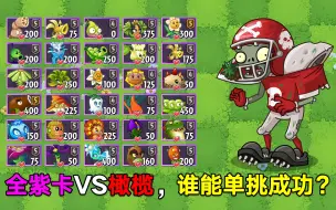 Download Video: PVZ测试：全紫卡VS橄榄，谁能单挑成功？