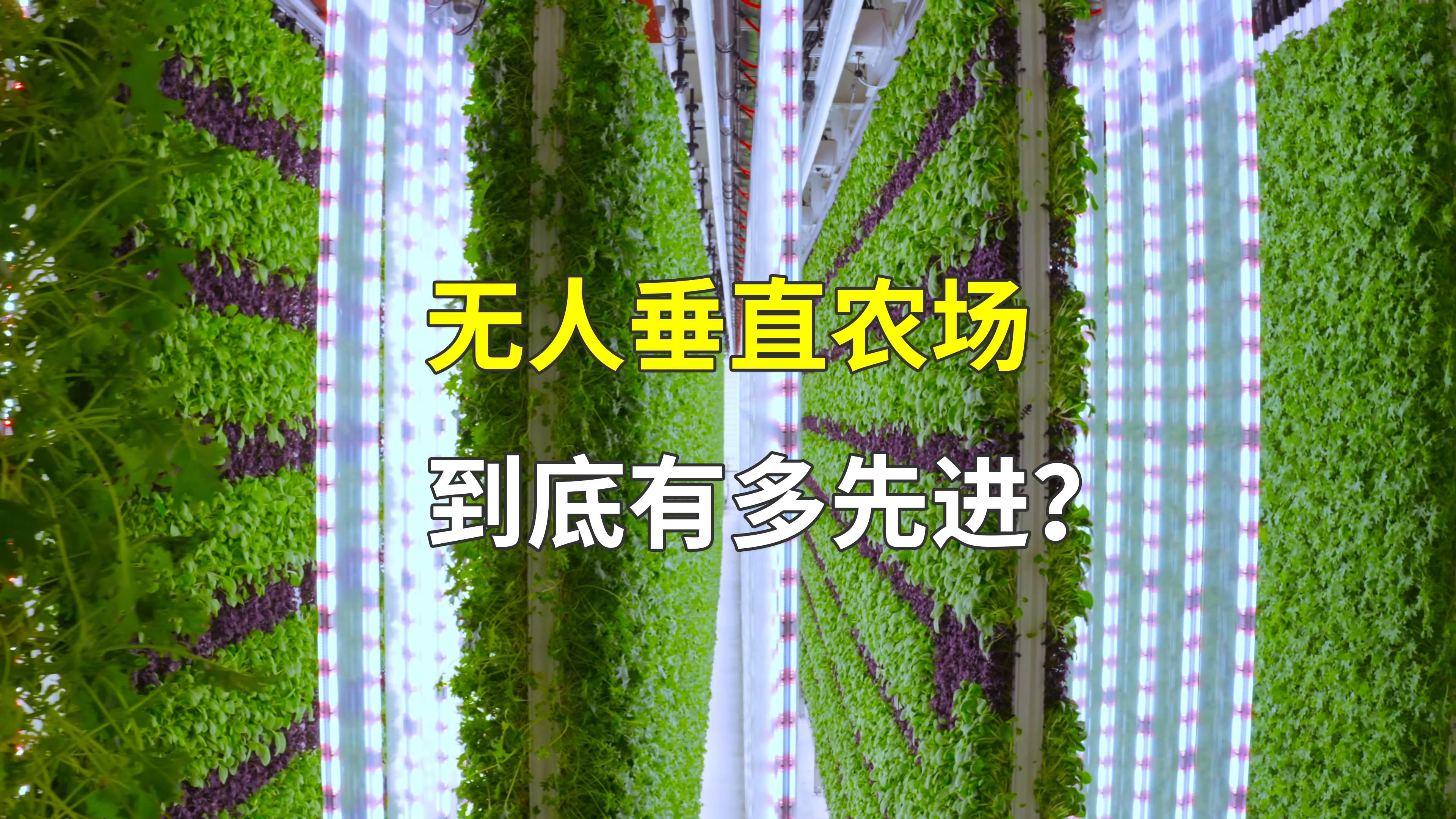 植物魔法自动化农场图片