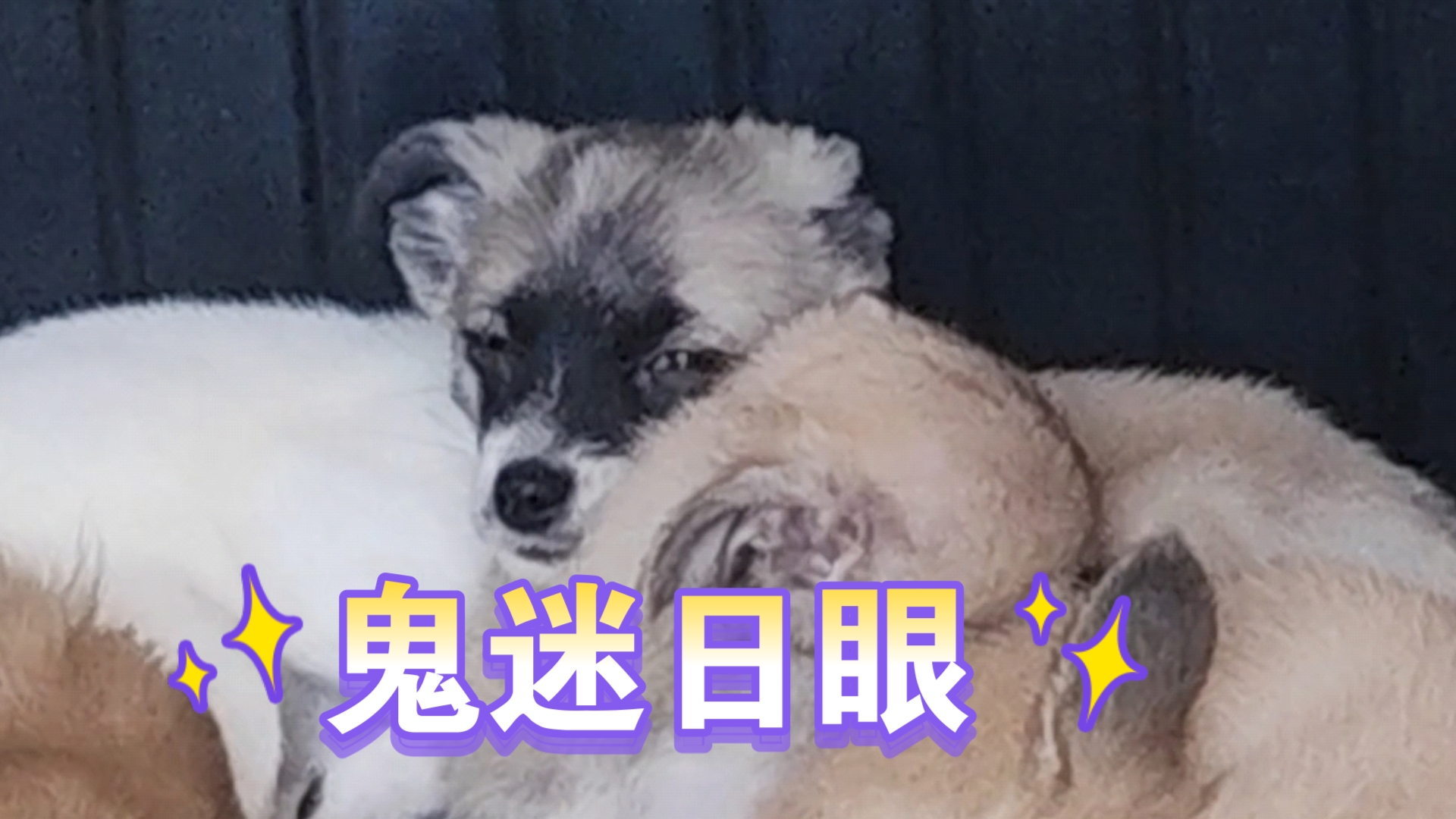 奔奔向前奔(づ ●─● )づ鬼迷日眼