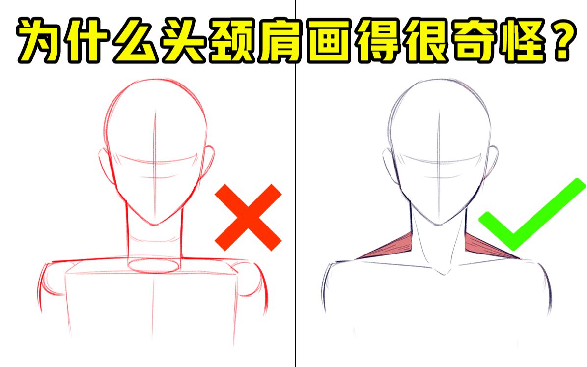 不同角度的头颈肩该怎么画?【板绘/画画方法/绘画教程/插画技巧入门】