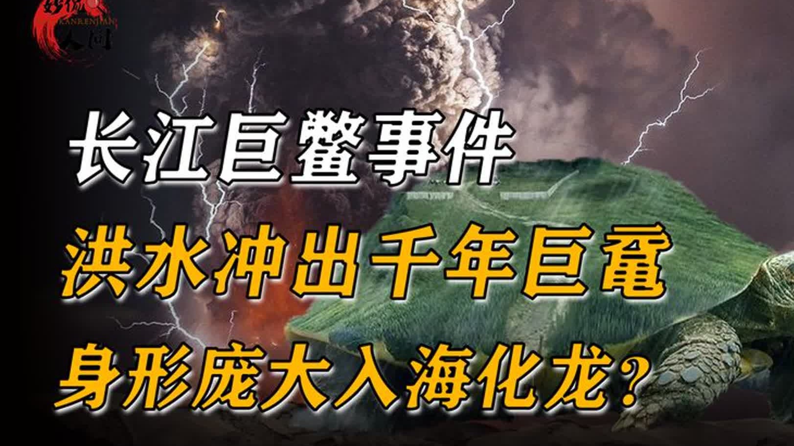 长江巨鳖事件，洪水冲出千年巨鼋，身形巨大入海化龙？-脑补大魔王-脑补大魔王-哔哩哔哩视频