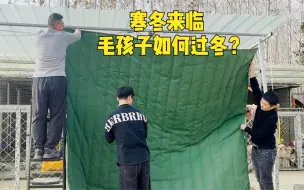 Télécharger la video: 寒冬来临！100多只流浪狗如何度过？这次又解决了毛孩子过冬难题