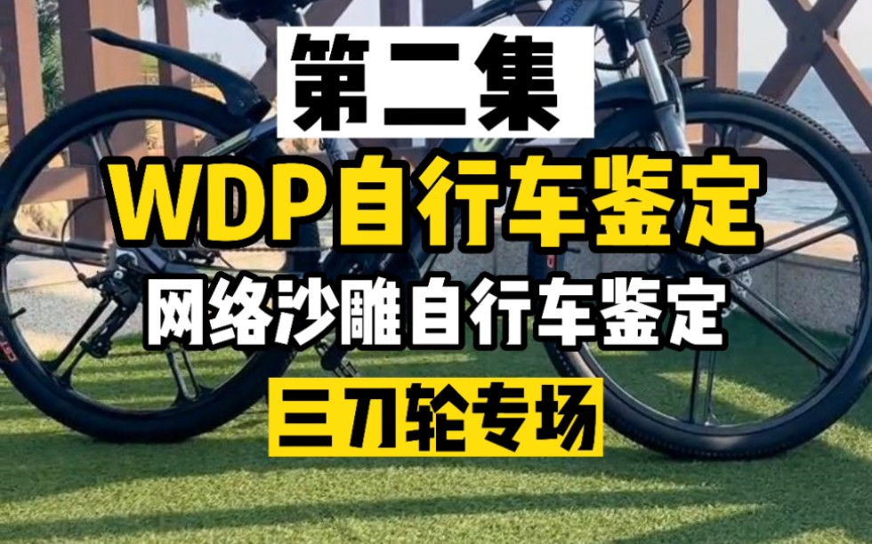 【WDP自行车鉴定】三刀轮自行车专场(第二期)哔哩哔哩bilibili