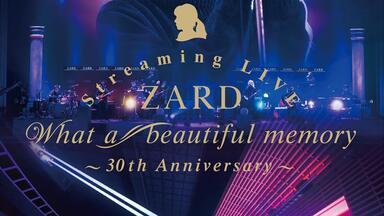 CDJapan : ZARD Streaming Live 