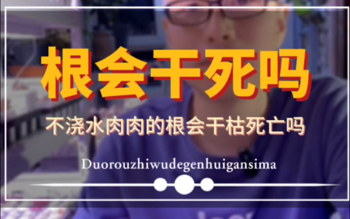 肉肉不浇水,根会干死吗?带你探究多肉植物的生存秘密!哔哩哔哩bilibili