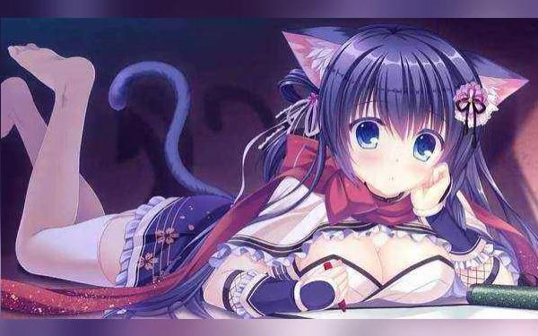 [图]猫娘图片本人收藏的猫娘图片