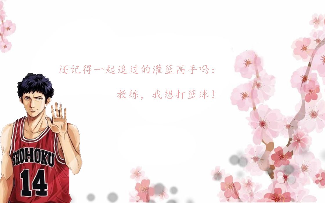 灌篮高手国语版全国大赛