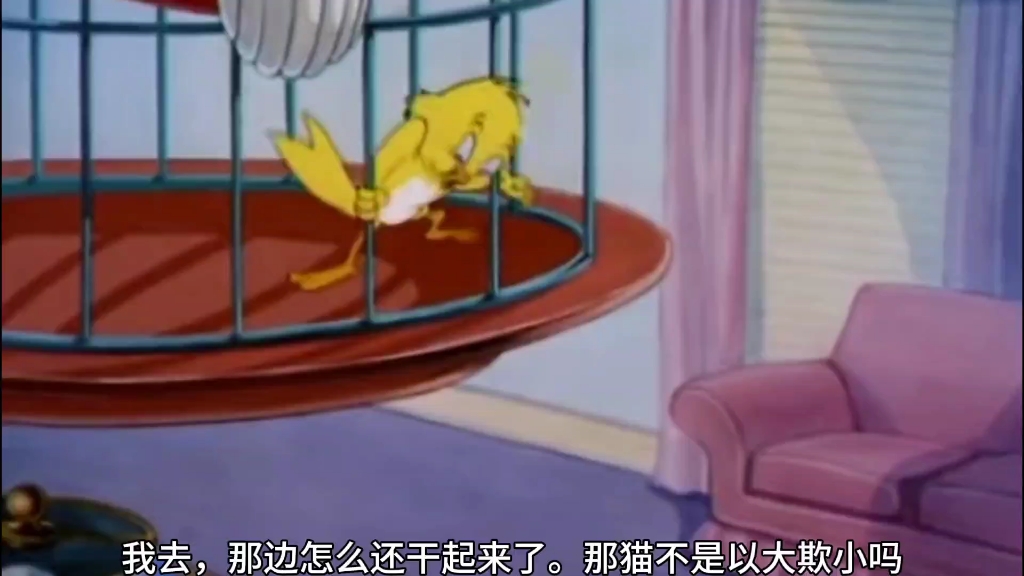 猫和老鼠,笼中鸟,经典动画童年的回忆