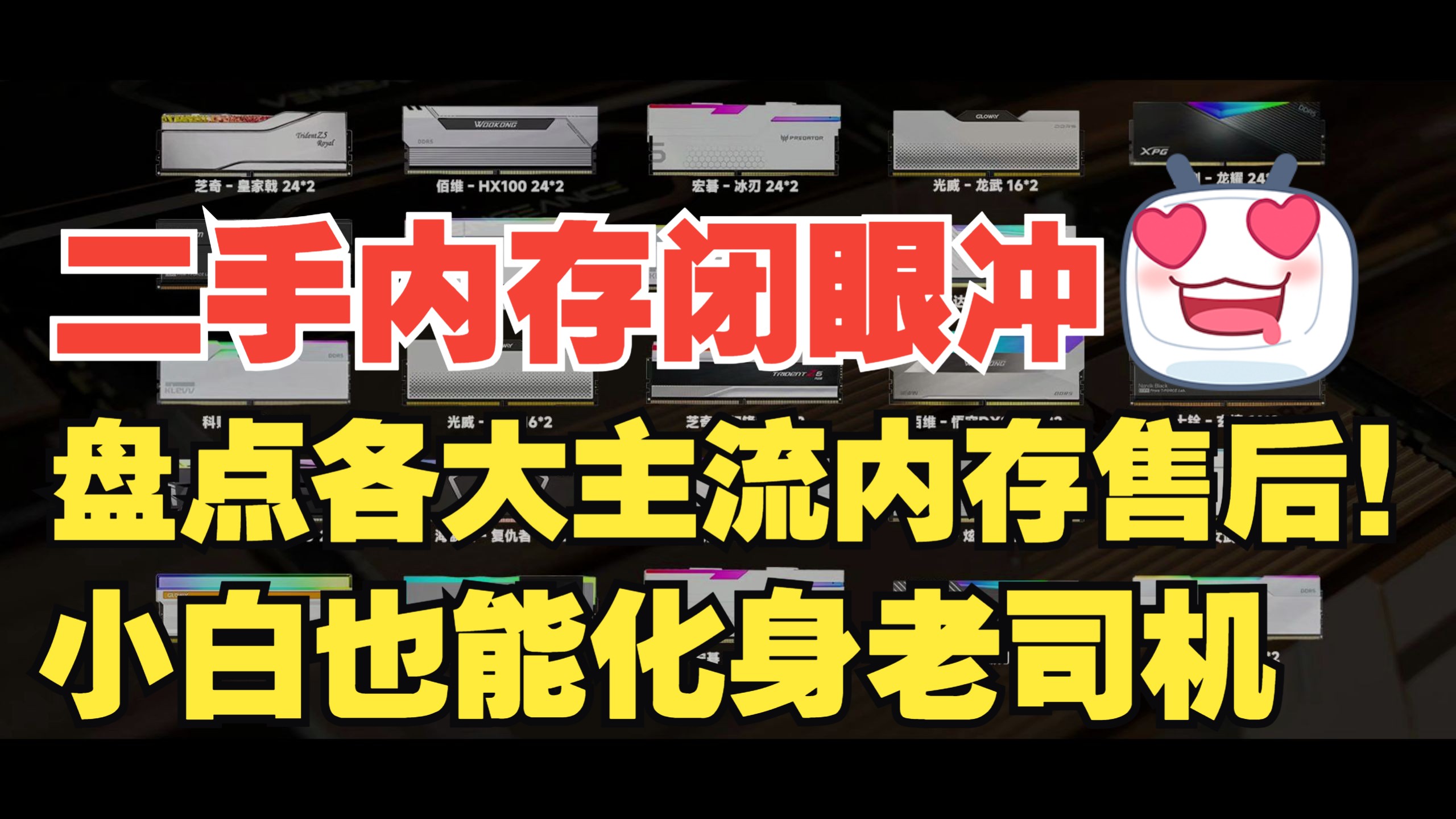 二手内存闭眼冲!盘点各大主流内存售后!小白也能化身老司机!