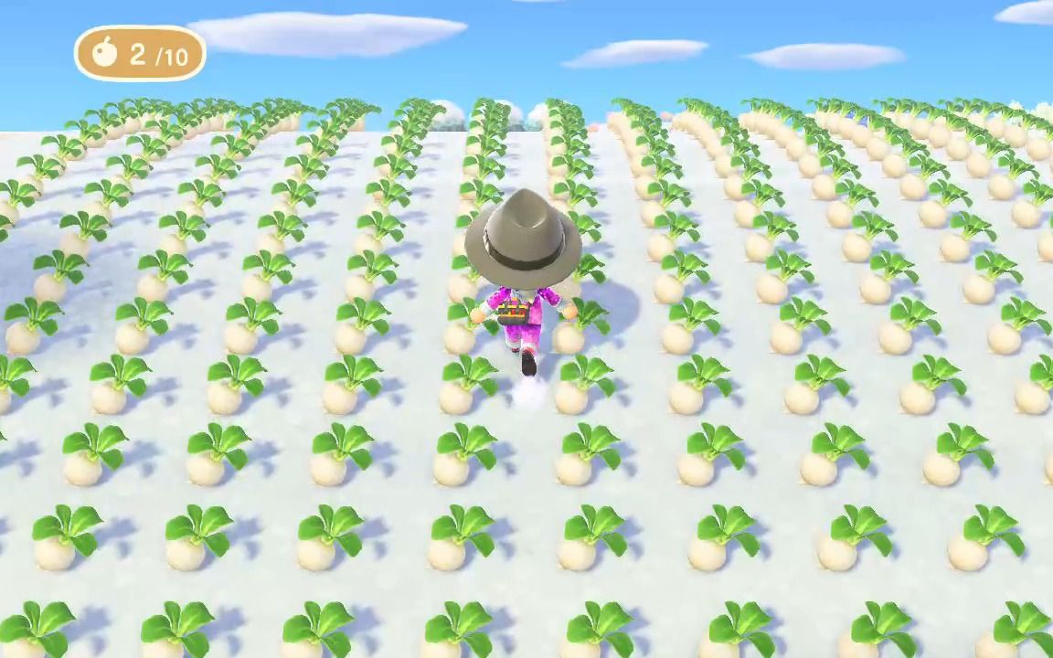 【动森】倾家荡产大头菜