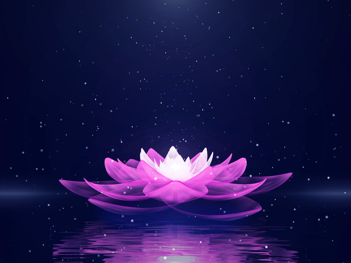 10)梦幻蓝色夜色莲花粒子金色荷花瓣唯美led大屏幕舞台背景视频素材10