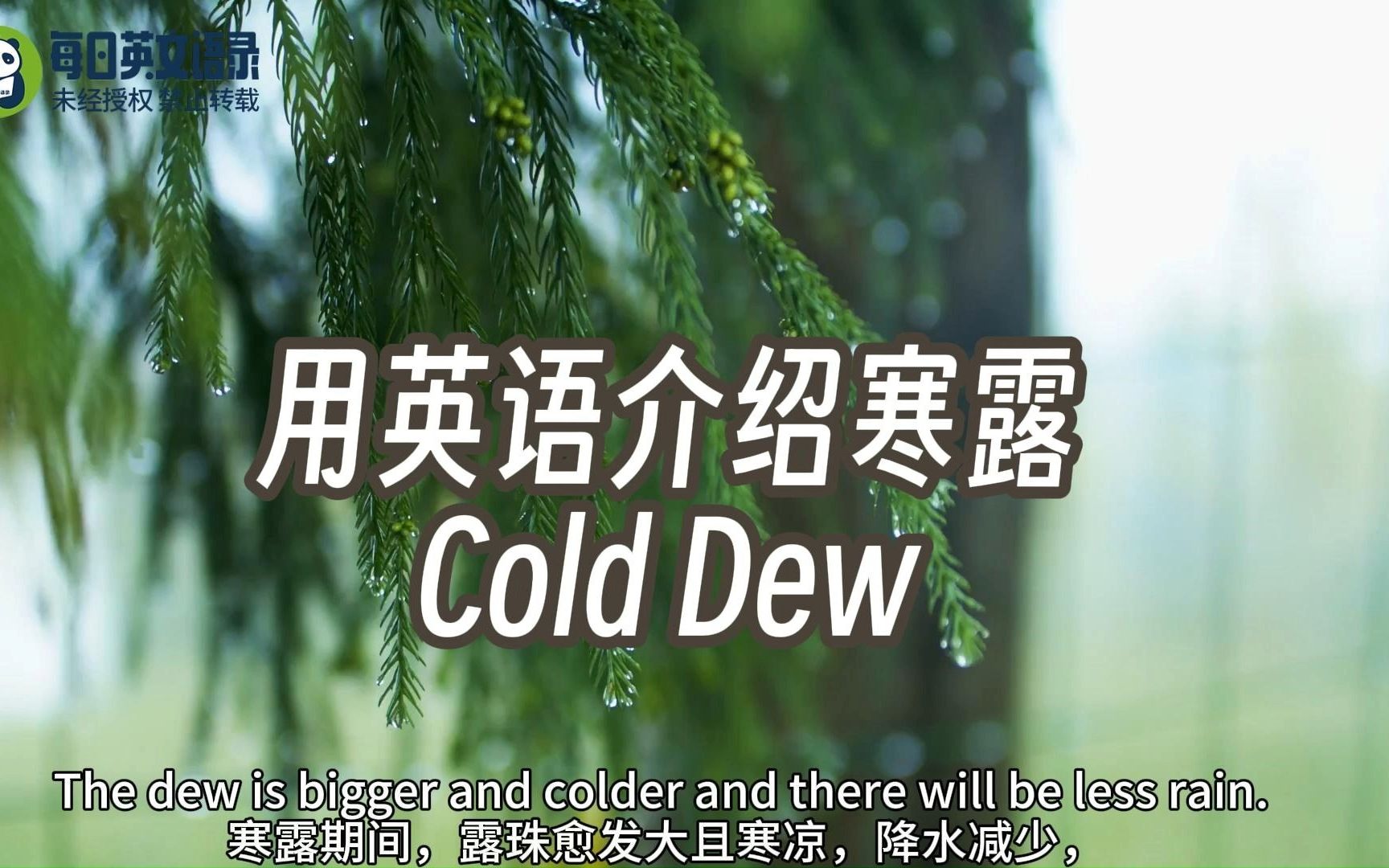 用英语介绍寒露 Cold Dew，二十四节气