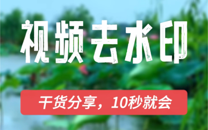 2022最新视频去水印的方法,去除视频移动水印和内置水印都很方便.哔哩哔哩bilibili