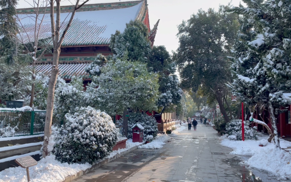 开封下雪了 开着大白 载着小胖子7015