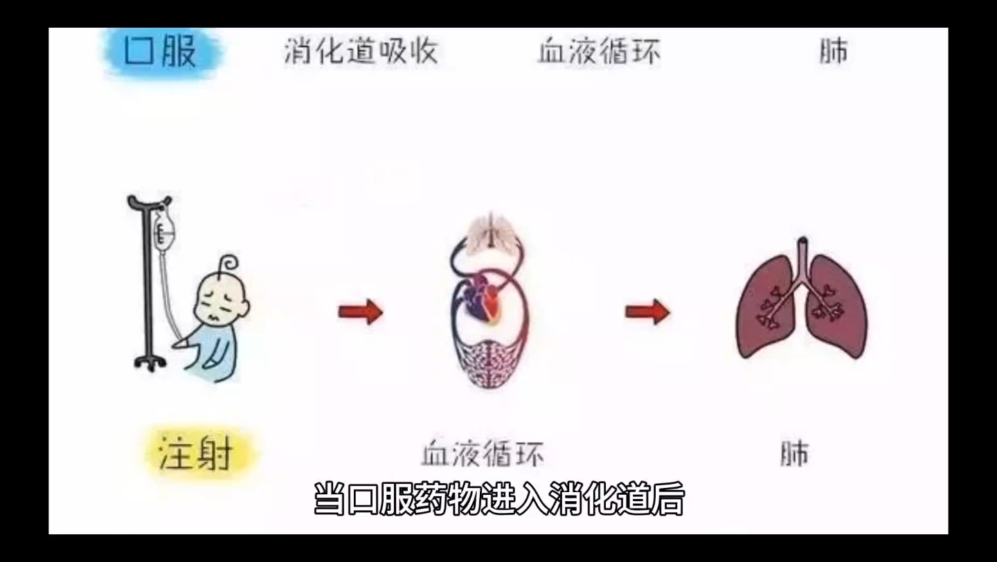 药理学的首过消除哔哩哔哩bilibili