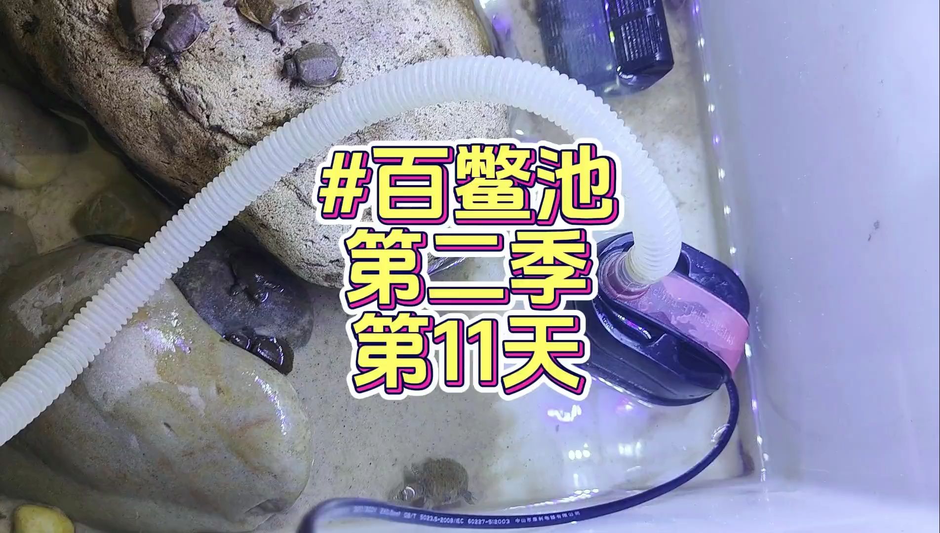 百鳖池换水!很简单!哔哩哔哩bilibili