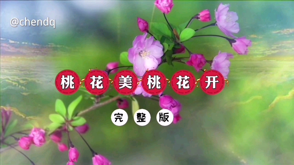 [图]《桃花美桃花开》完整版