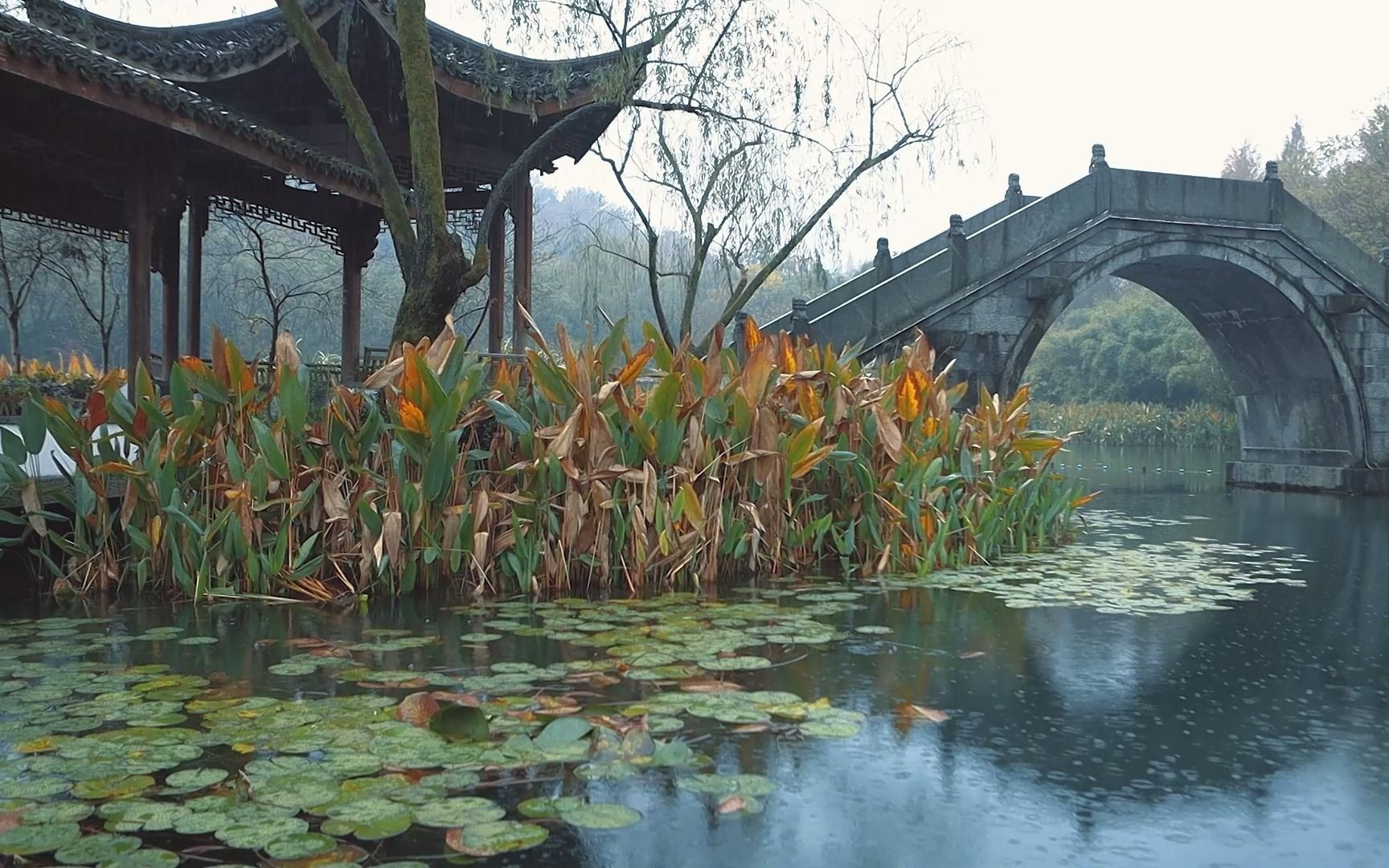 [图]【白噪音 雨声】杭州浴鹄湾 小桥流水 烟雨江南