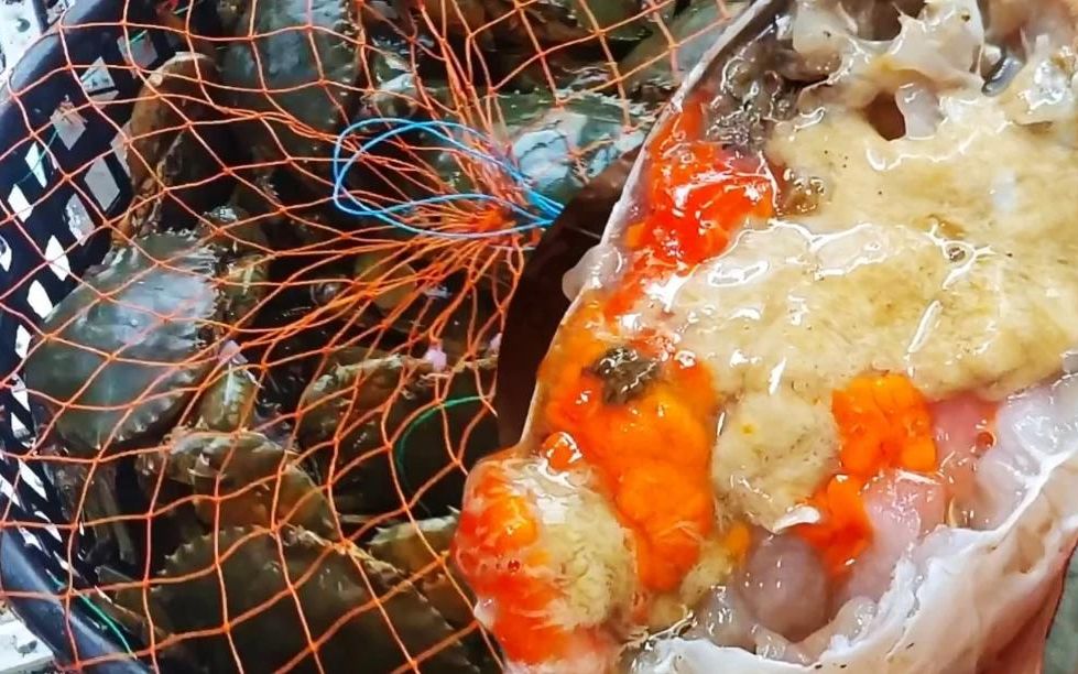 浙江温岭松门海鲜市场,大青蟹130一斤,一个电筒就知道肥度