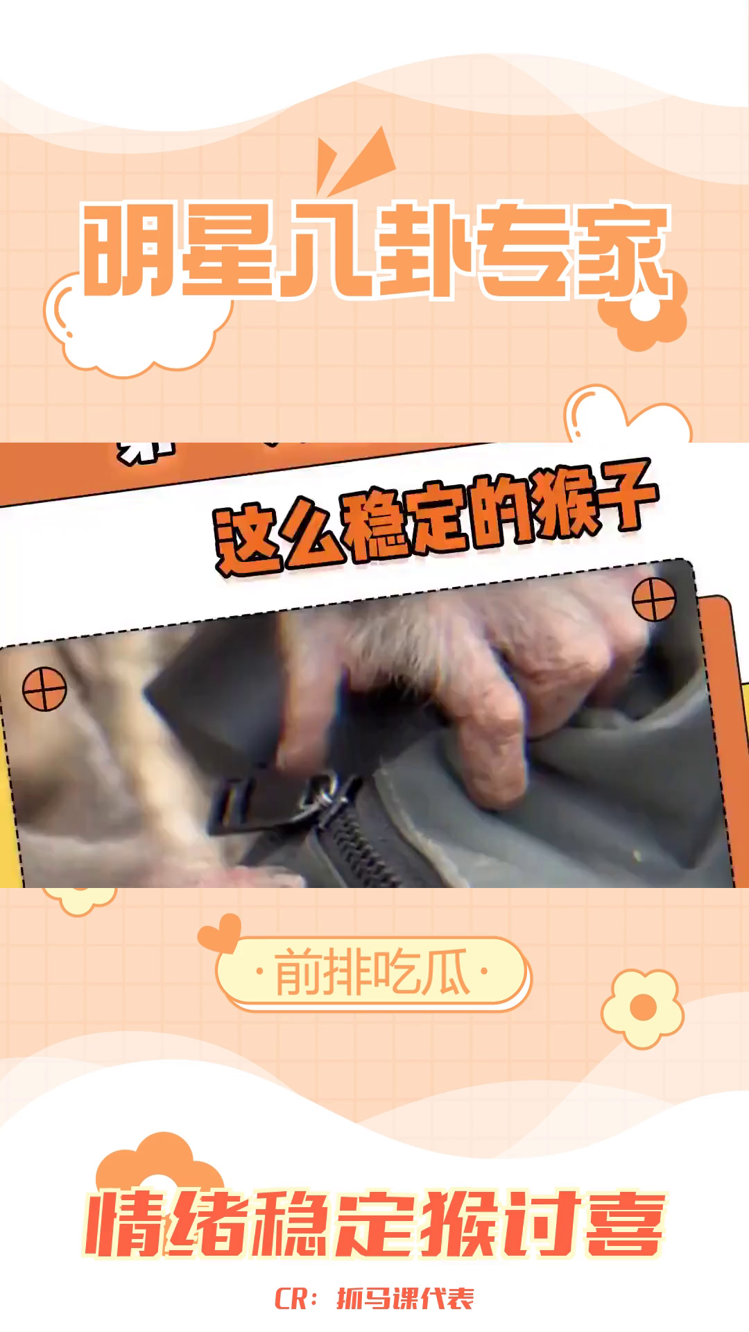 情绪稳定的猴子:拽包要钱的倔强小可爱哔哩哔哩bilibili