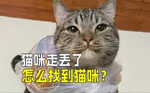 Video herunterladen: 🔍找猫大法：猫咪走丢教你快速找回❗️