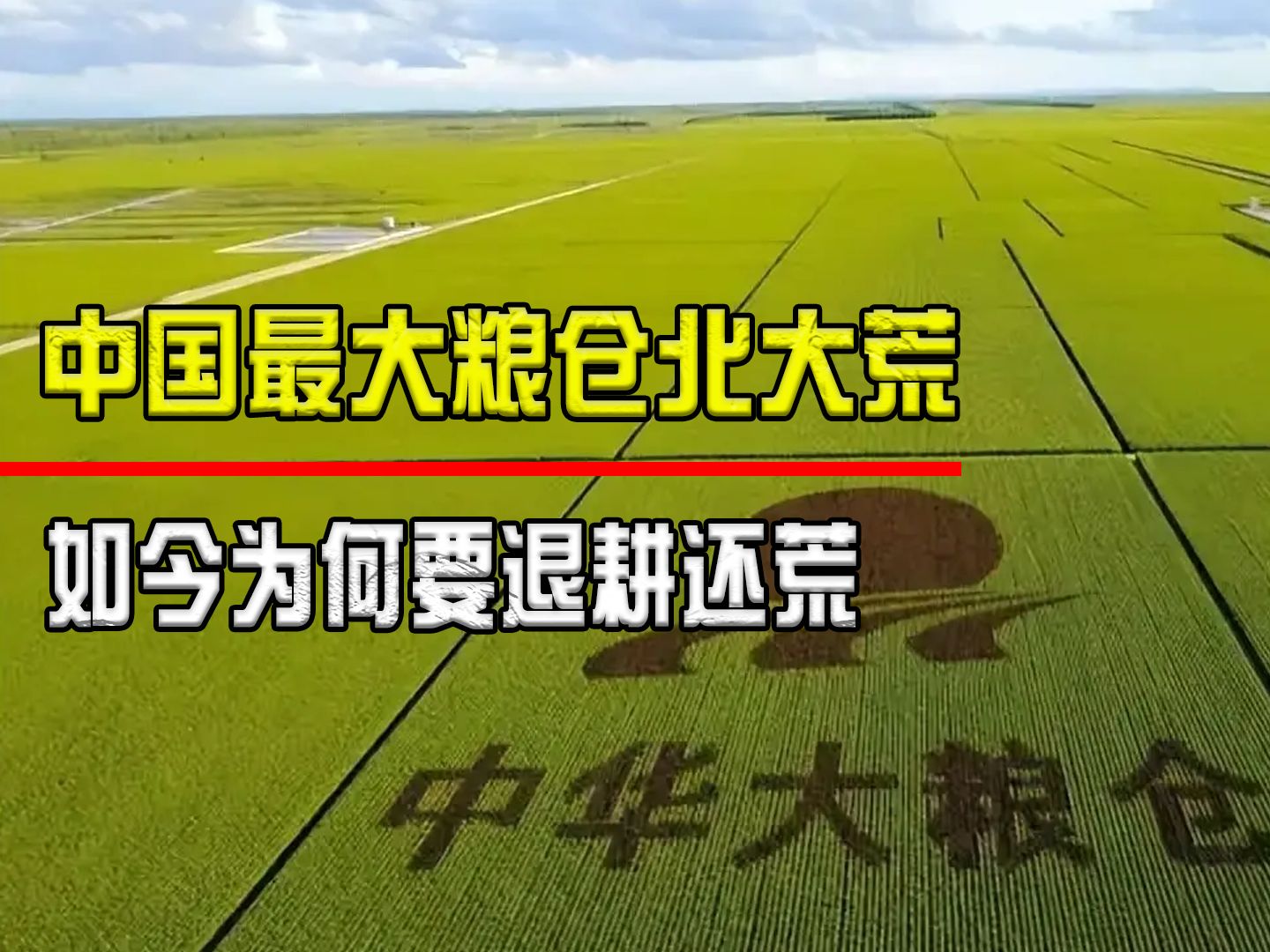 辛苦开垦半个世纪,中国最大的北大荒粮仓,如今为何要退耕还荒?