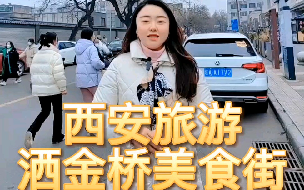 西安洒金桥美食街最强攻略来啦,金牌导游带你吃遍本地美食一条街哔哩哔哩bilibili