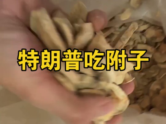 送给特朗普炖当归羊肉汤的去皮江油附子,希望别给江油附子加关税哔哩哔哩bilibili