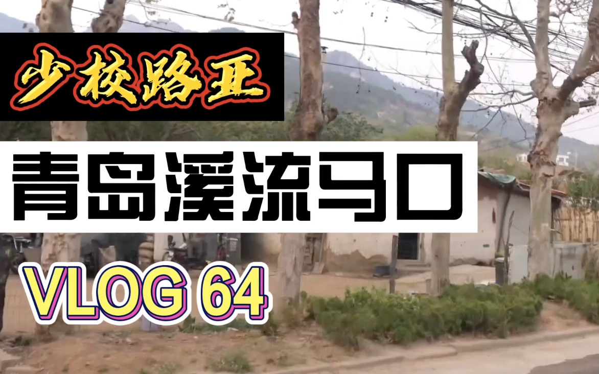 VLOG64 青岛溪流马口,无处安放的灵魂只有在水边才能宁静,躁动不安的心情唯愿与马口分享哔哩哔哩bilibili